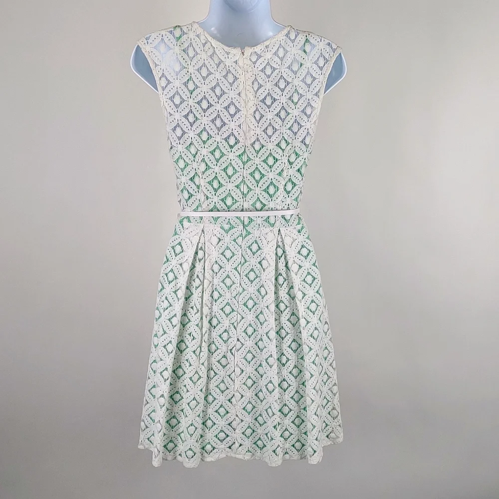 Dress Barn lace overlay dress